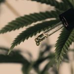 CBD