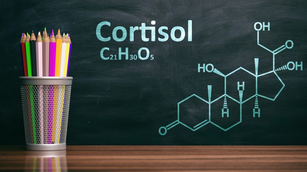 cortisol